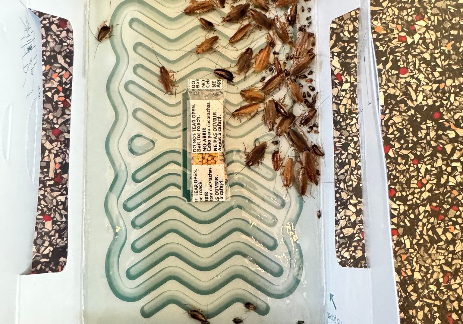 Pest control roaches