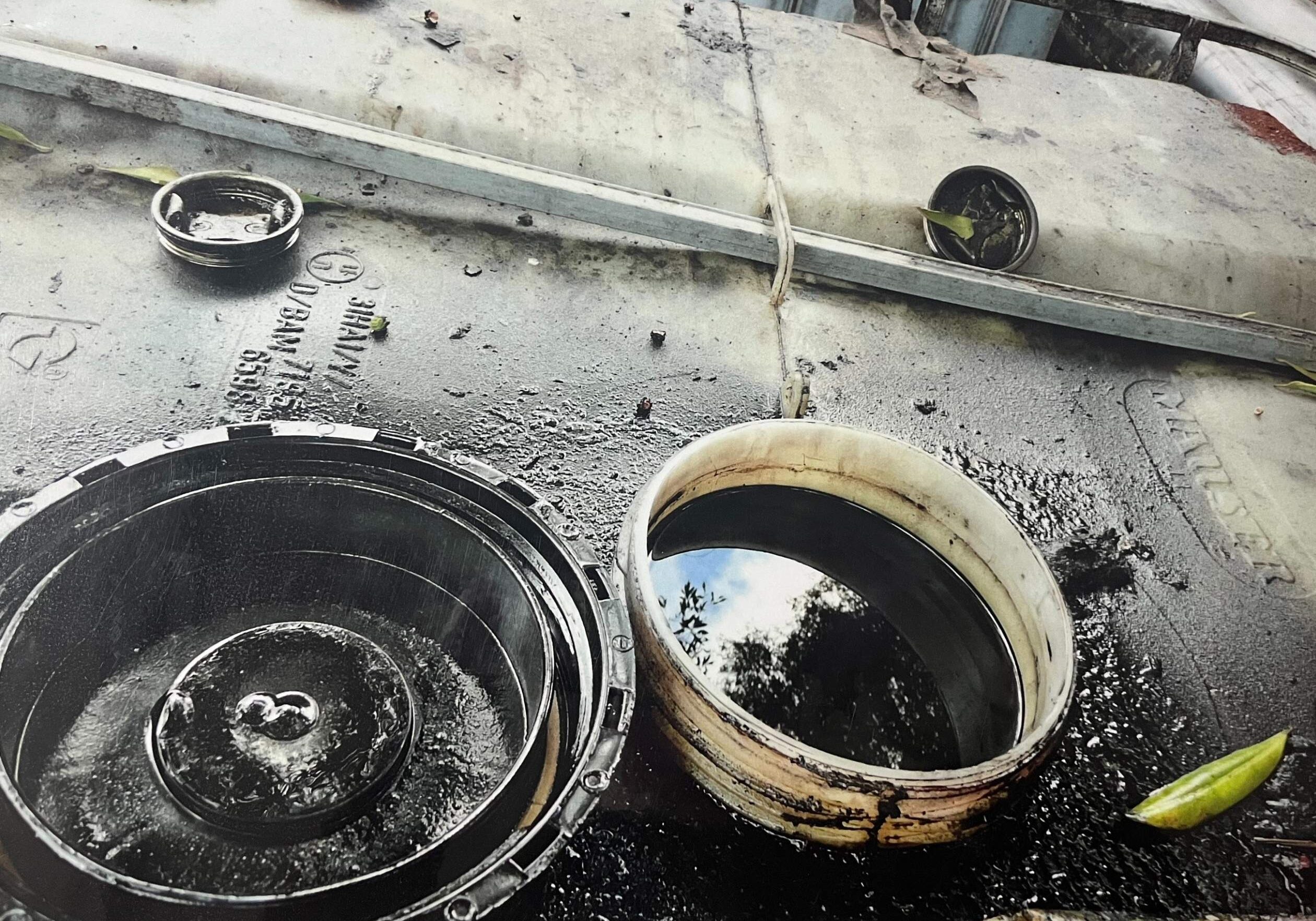 Waste management oil